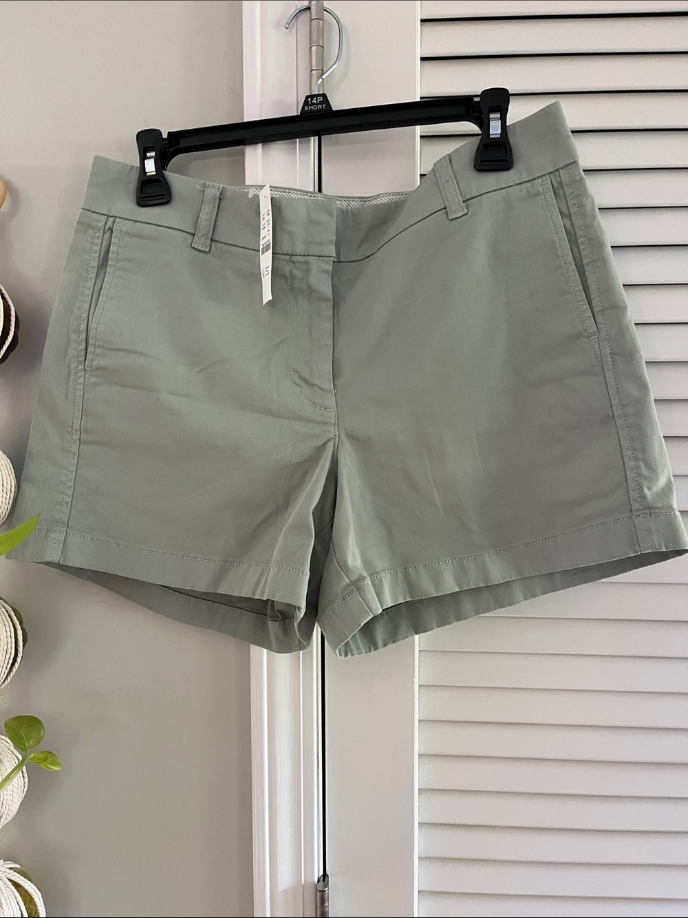 J. Crew Light Sage Green Tailored Cotton Shorts